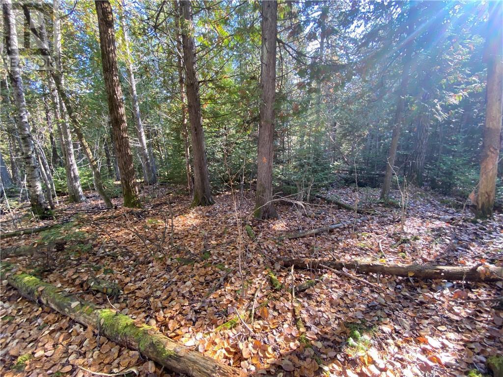 7 Sandy Point, Manitowaning, ON