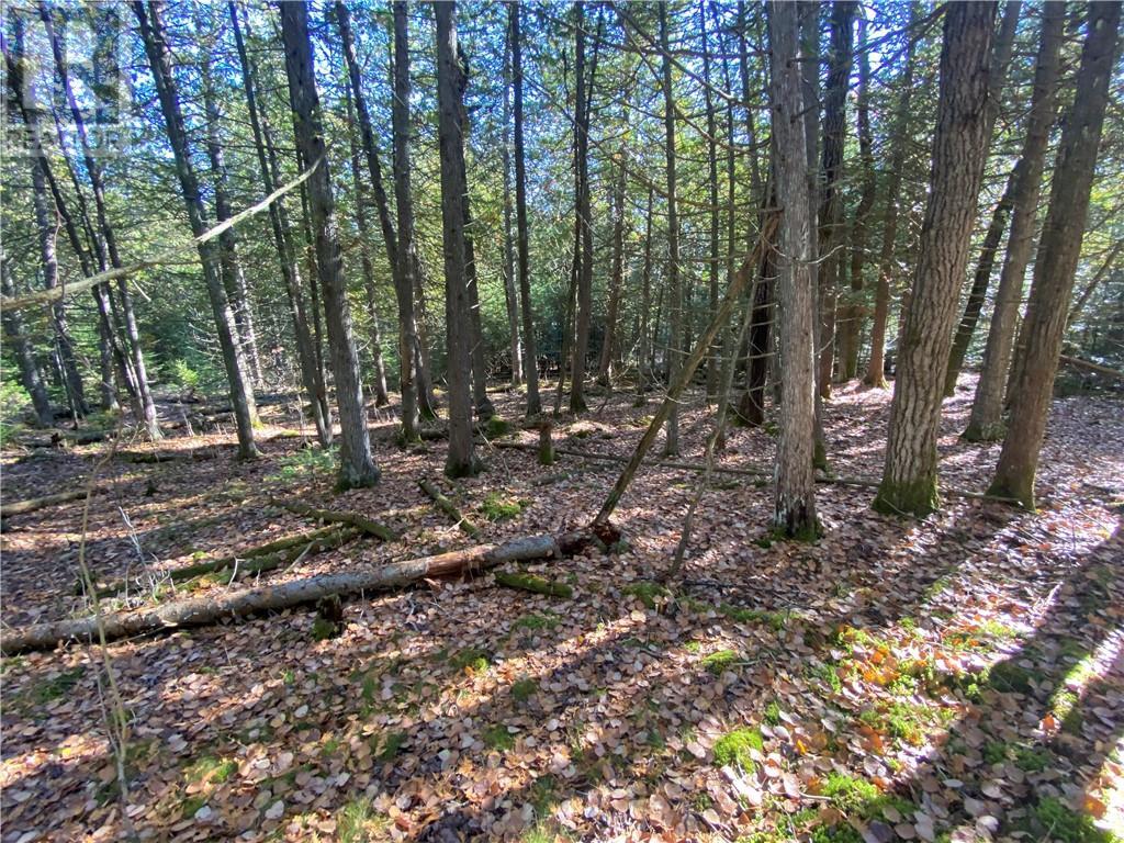 7 Sandy Point, Manitowaning, ON