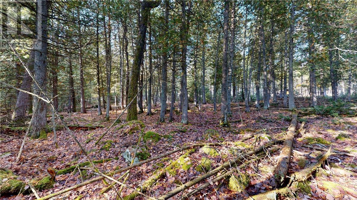 7 Sandy Point, Manitowaning, ON