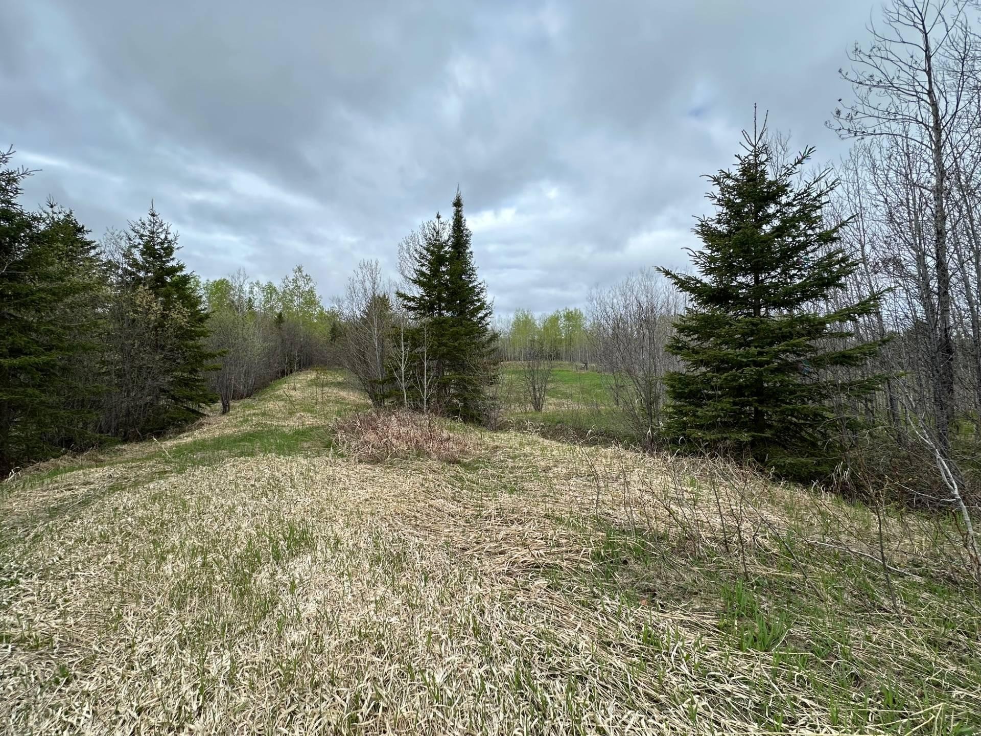 Terre/Terrain - Boul. Rideau, Rouyn-Noranda, QC