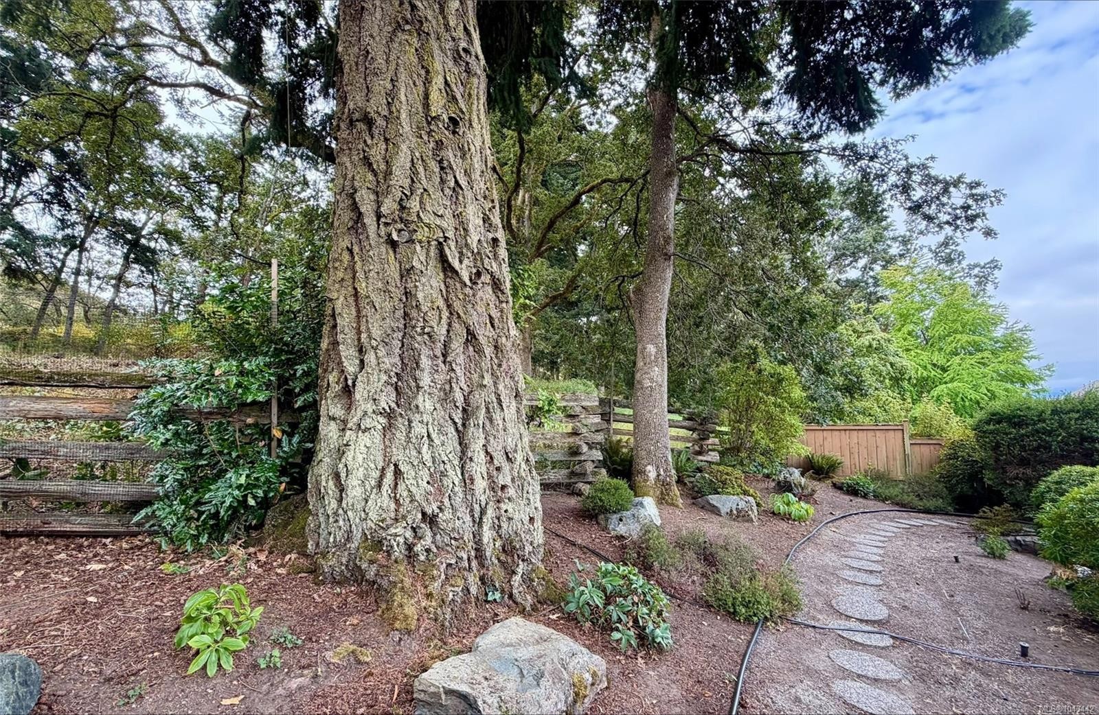 809 Rogers Way, Saanich, BC