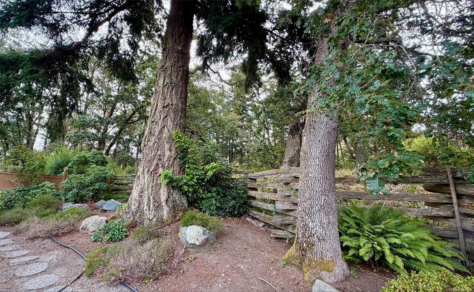 809 Rogers Way, Saanich, BC