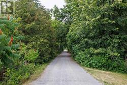 Victoria Rail trail - 