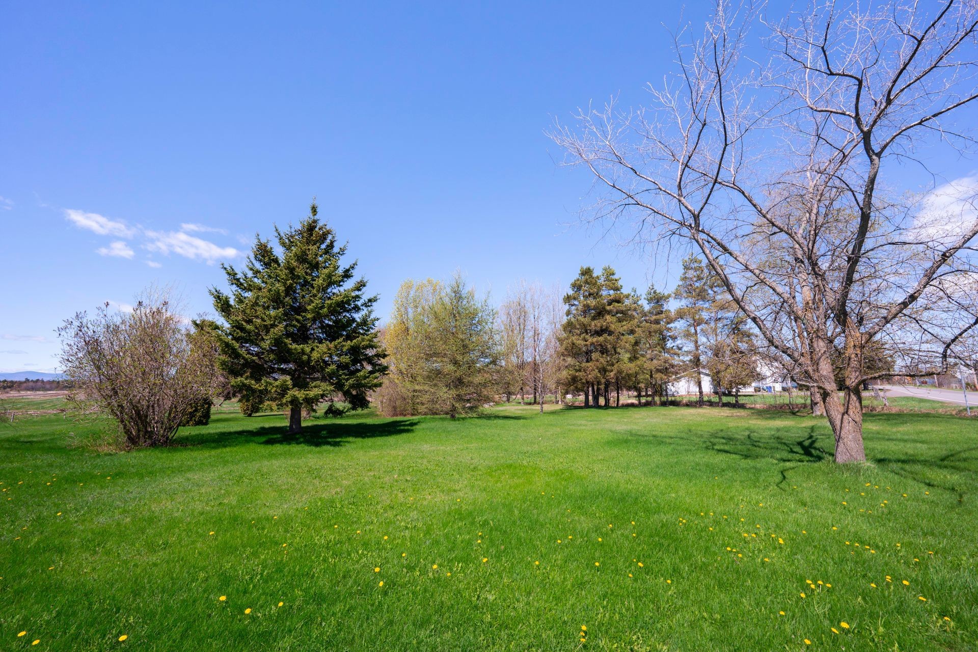Exterior - 241 Ch. Des Belles-Amours, L'Islet, QC - Outdoor With View