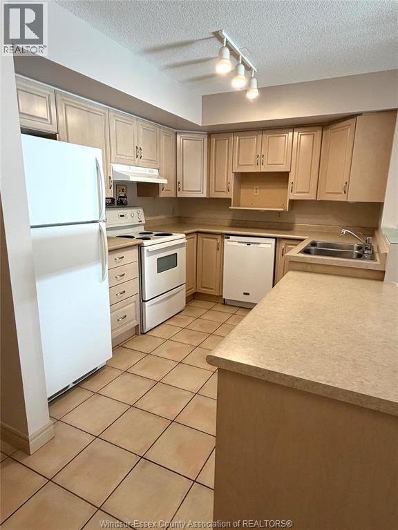 1995 Normandy Unit# 301, Lasalle, ON - Indoor Photo Showing Kitchen With Double Sink