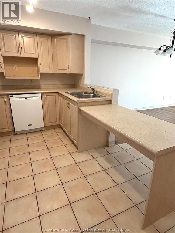 1995 Normandy Unit# 301, Lasalle, ON - Indoor Photo Showing Kitchen With Double Sink