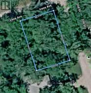 79 IRENE AVENUE Kawartha Lakes (Fenelon), ON K0M 1N0