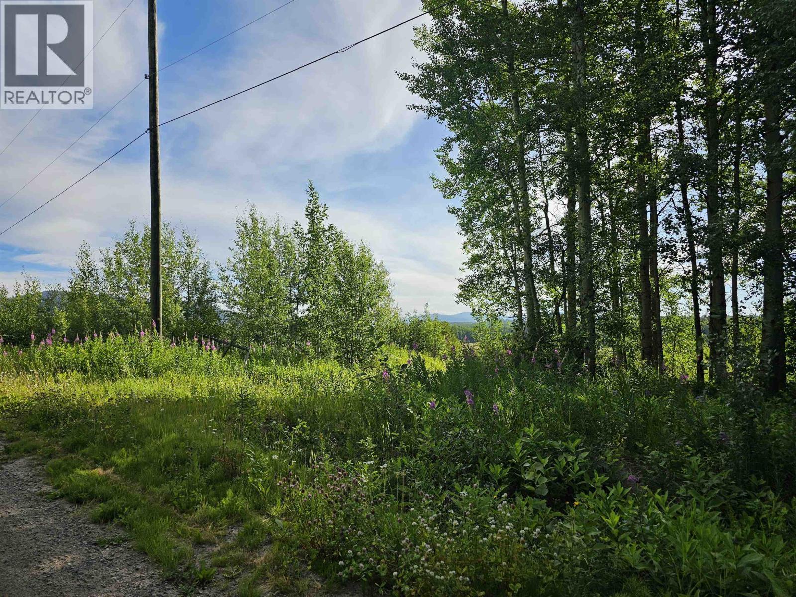 7086 Stella Road, Fraser Lake, BC - Outdoor With View
