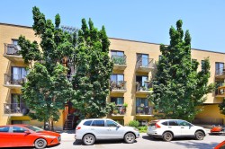 1887 Rue De Chambly Montréal (Mercier/Hochelaga-Maisonneuve), QC H1W 3J1