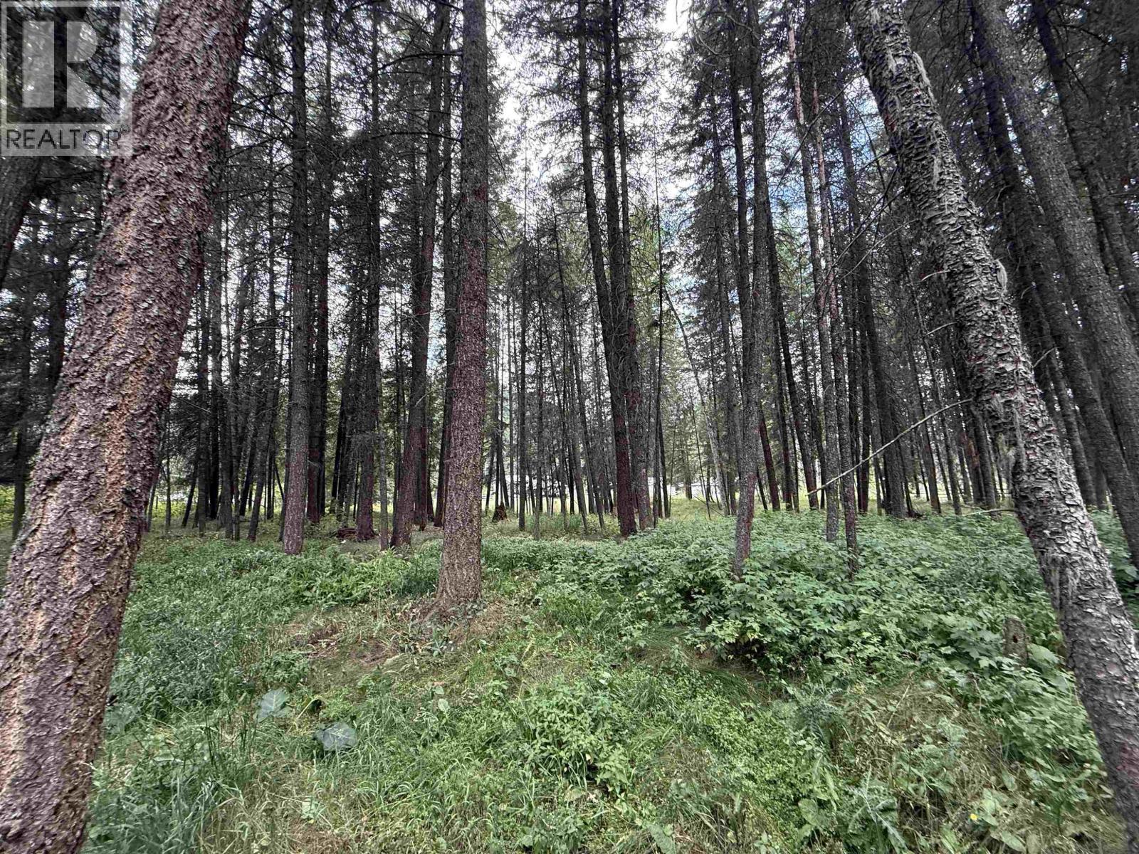 112 Corey Road, Quesnel, BC - Outdoor