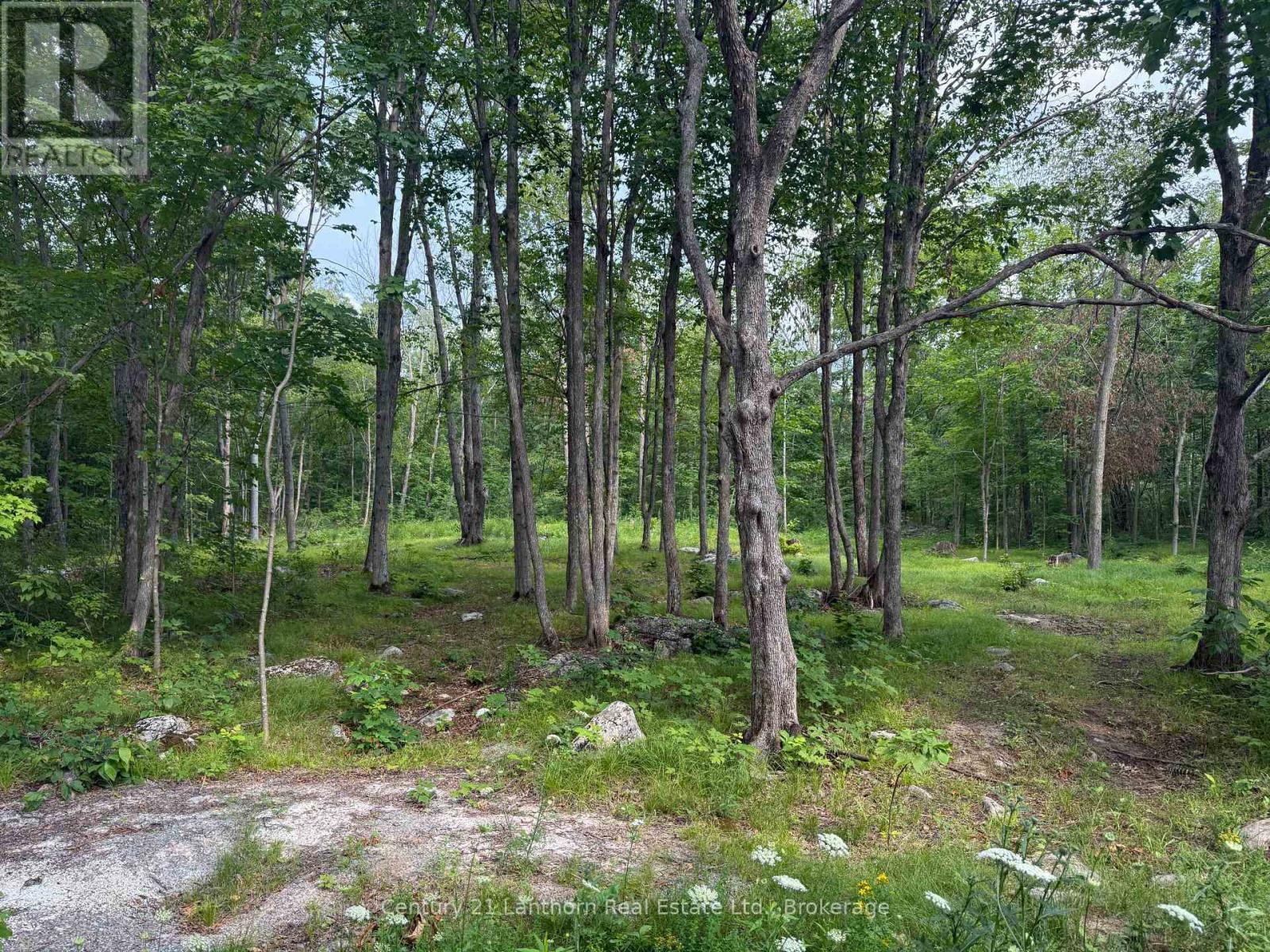 554 Pigden Road, Madoc, ON