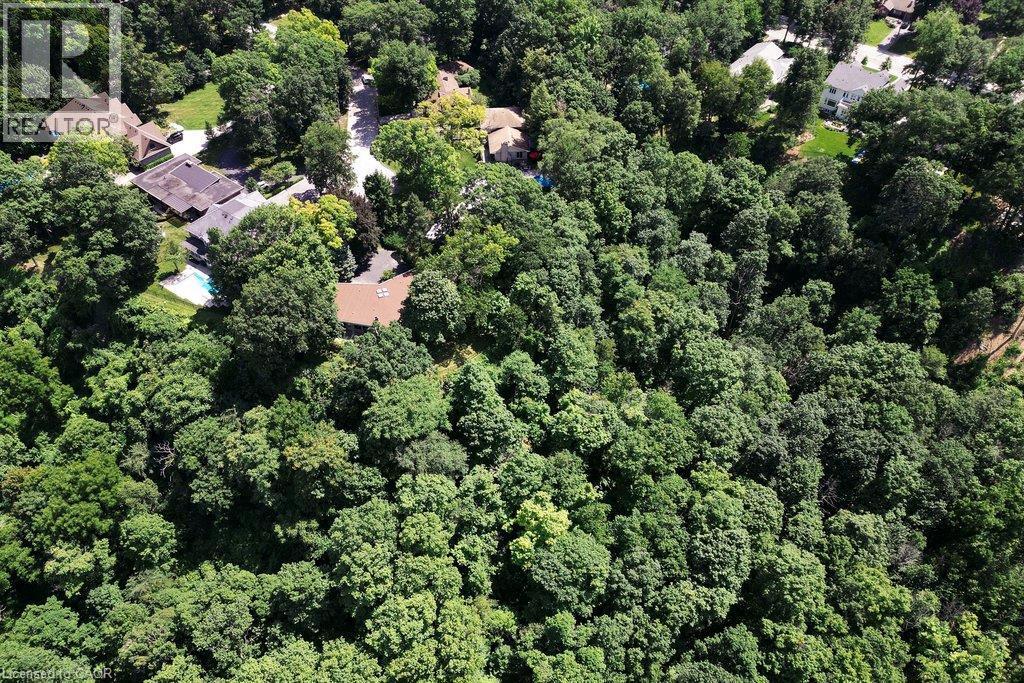 Tree filled surroundings - 44 Colquhoun Crescent, Hamilton, ON - Outdoor