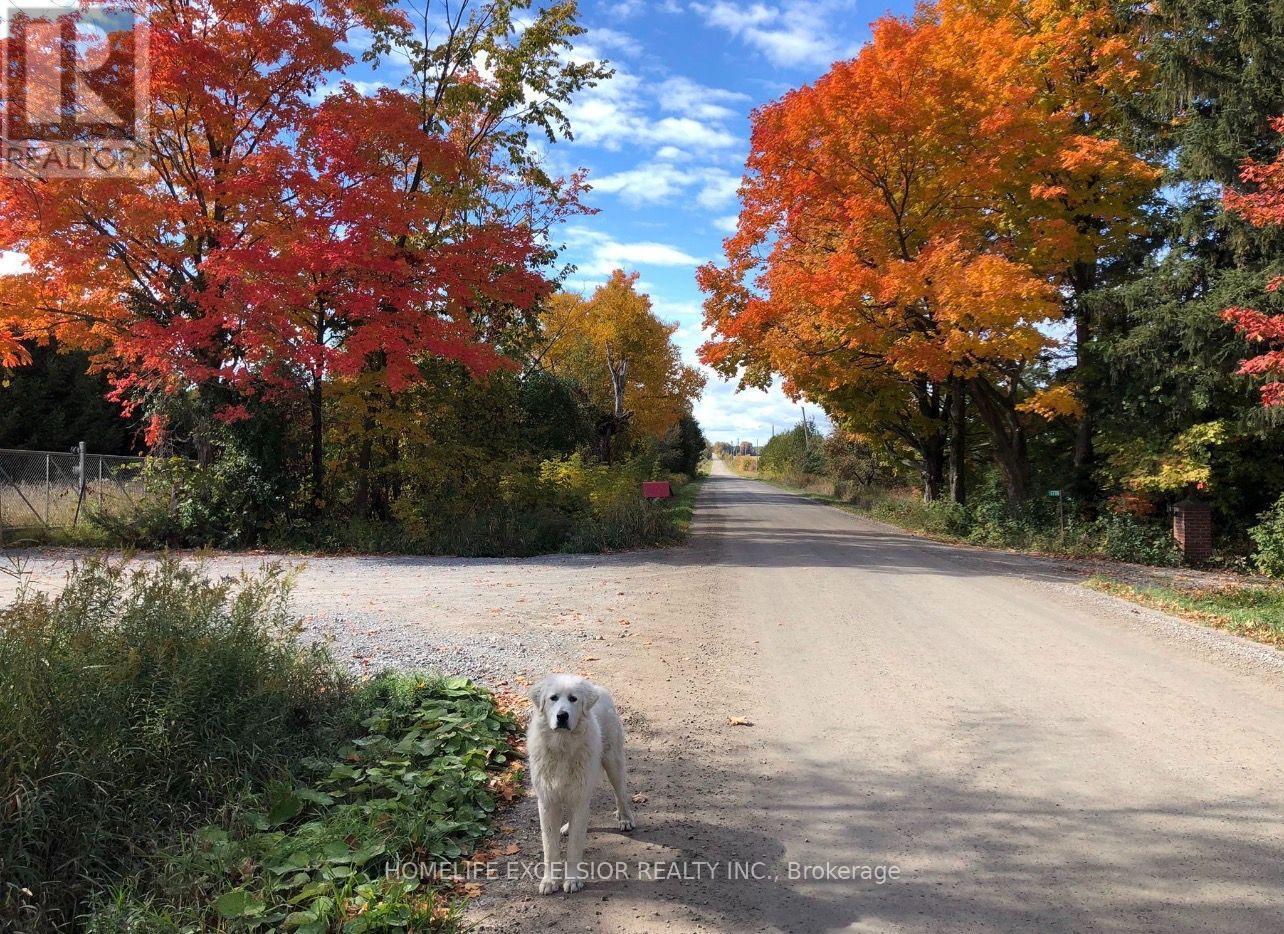 1854 5 Side Road, Ramara, ON