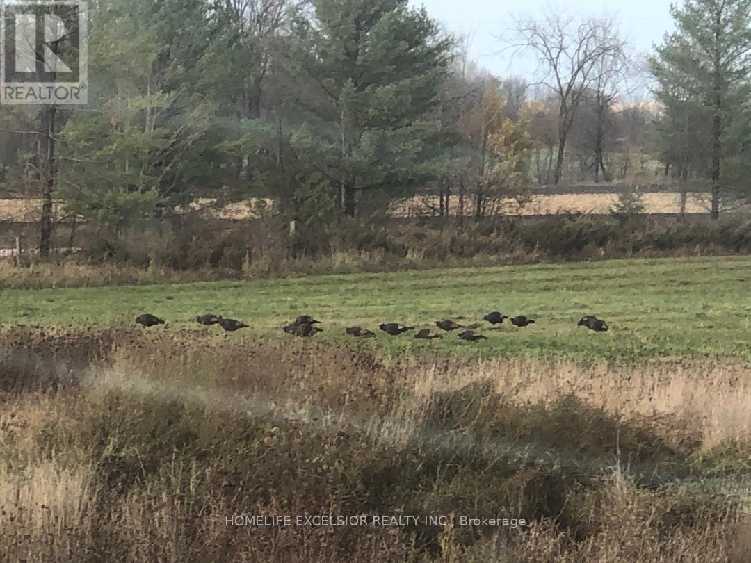 1854 5 Side Road, Ramara, ON