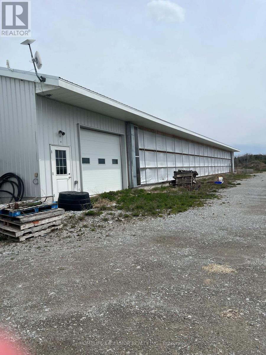 1854 5 Side Road, Ramara, ON