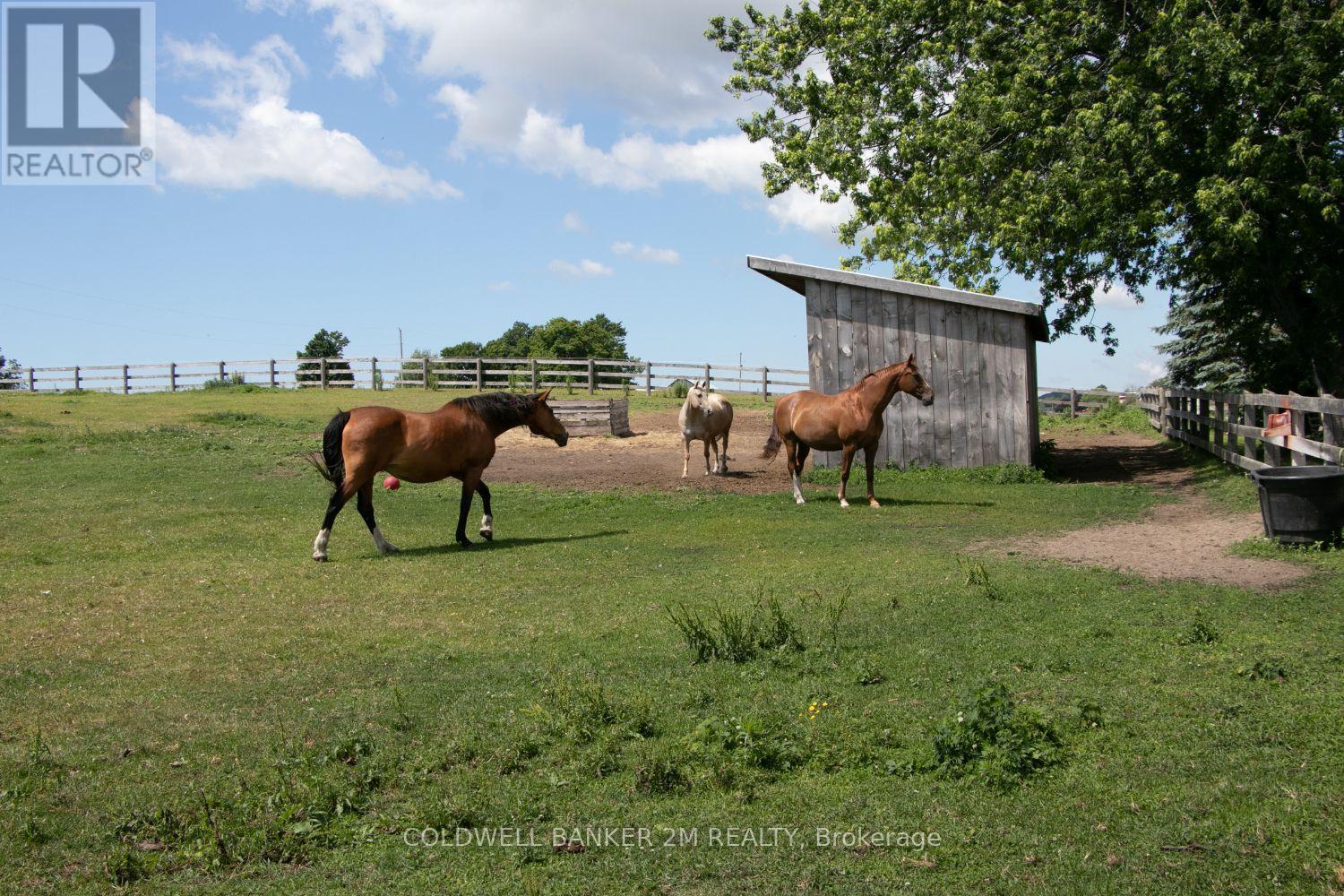 5728 Gilmore Road, Clarington, ON