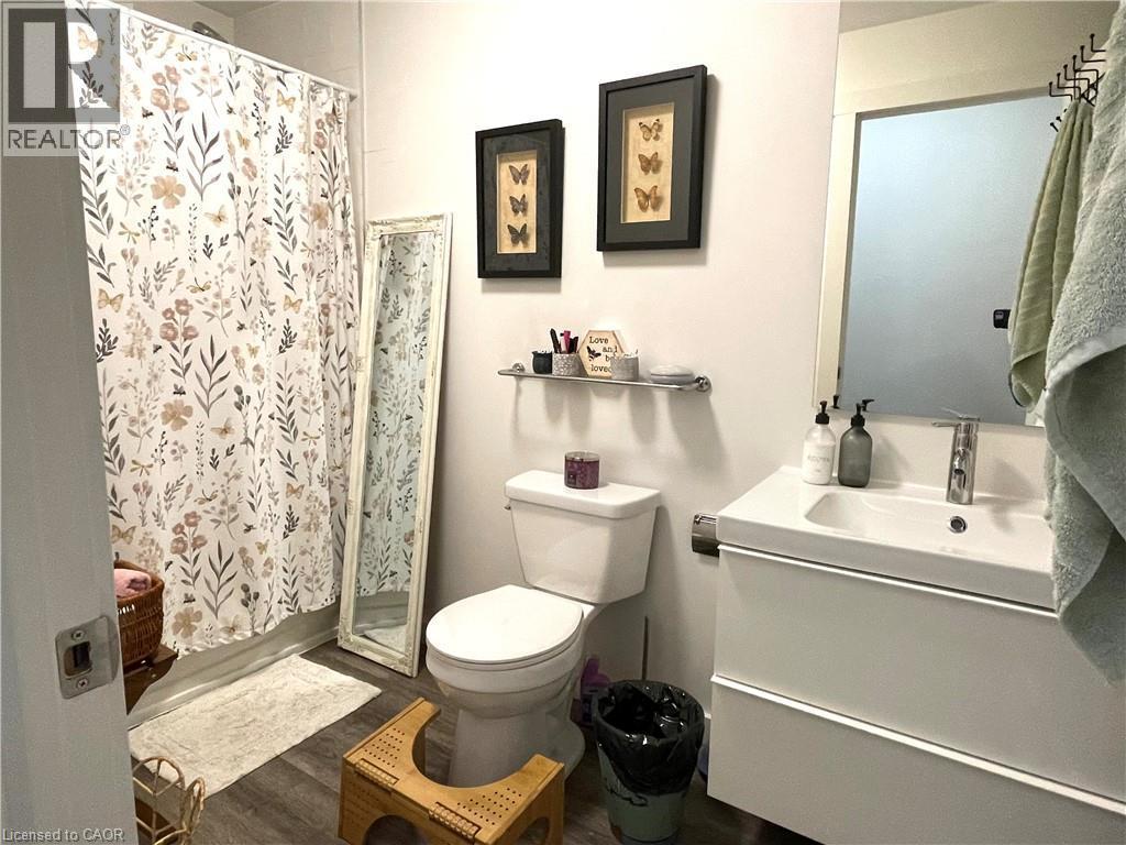 91 James Street N, Hamilton, ON - Indoor Photo Showing Bathroom