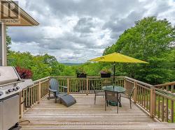 Deck from living room - 