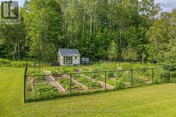 Community garden - 
