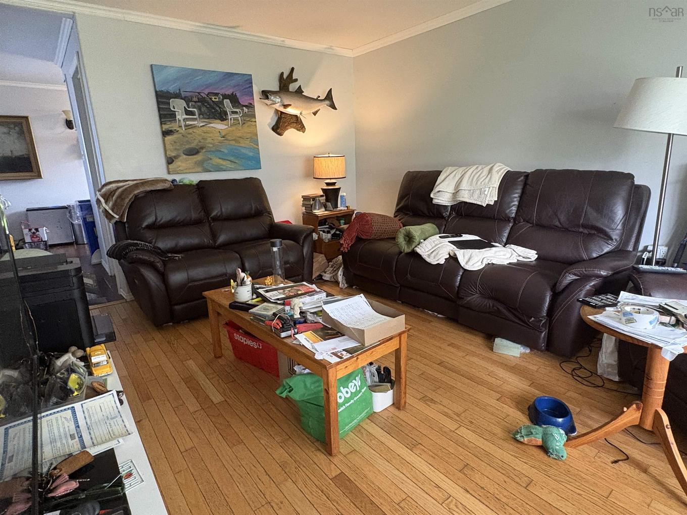 9 Maclaren Avenue, New Glasgow, NS - Indoor Photo Showing Living Room