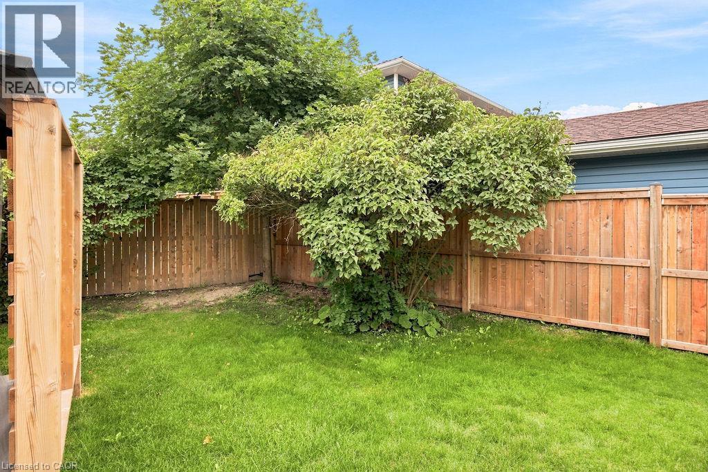Grassy yard area featuring natural wood fencing and mature trees - 67 Weber Street S, Waterloo, ON - Outdoor