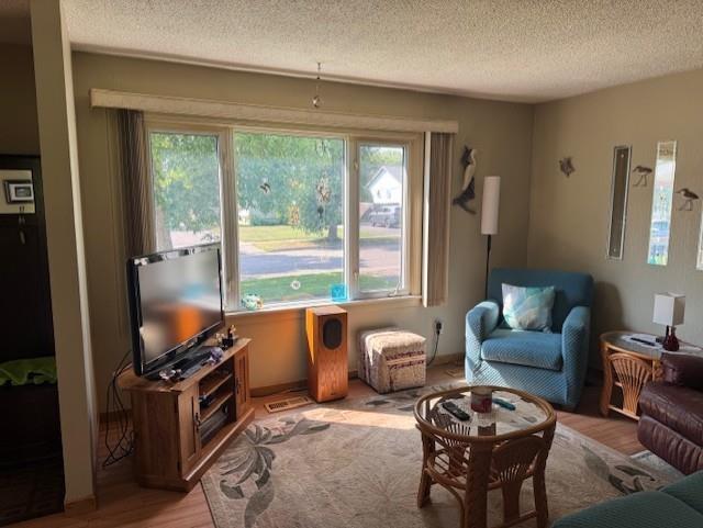 129 Ray Boulevard, Thunder Bay, ON - Indoor Photo Showing Living Room