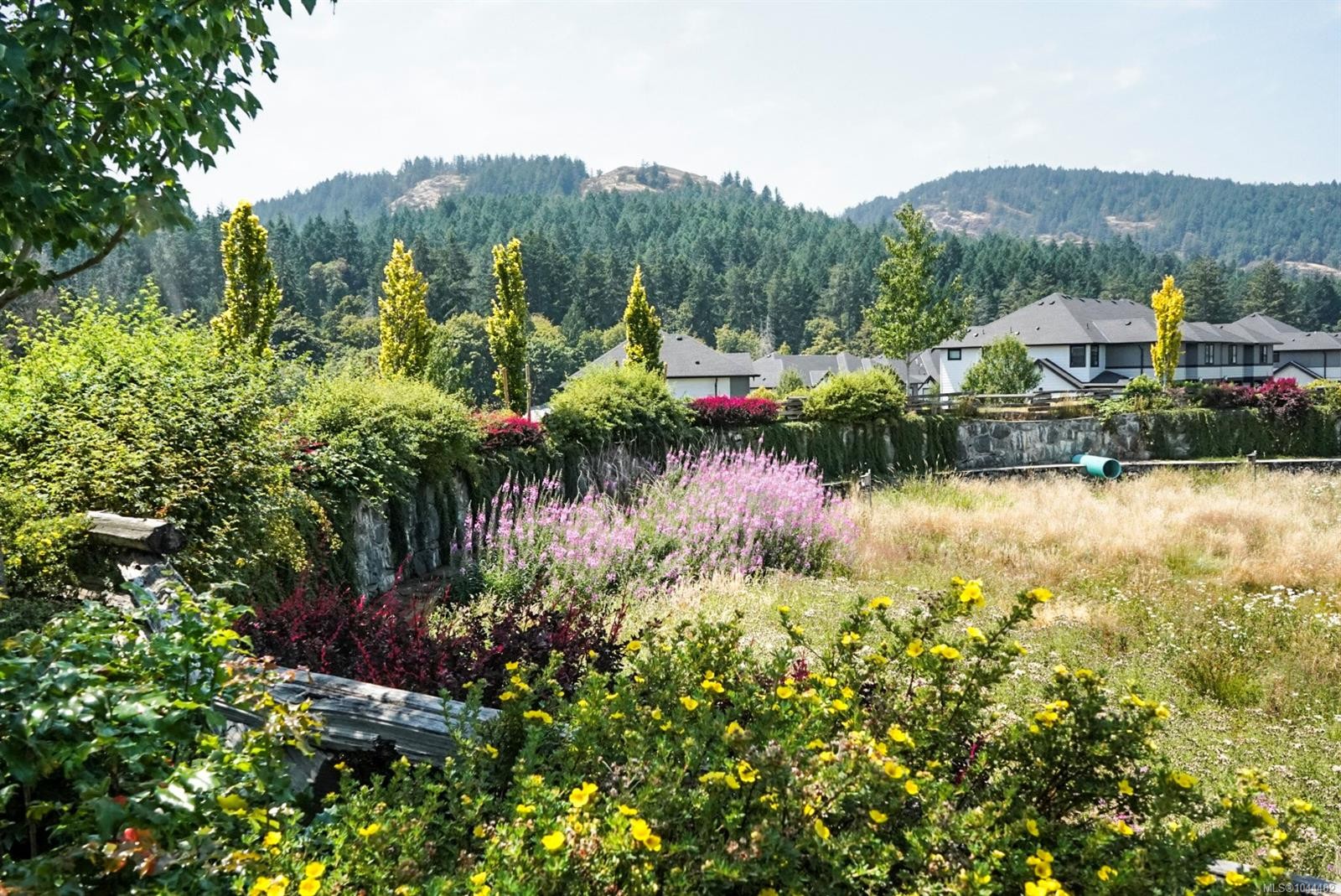 #306-1114 Samar Cres, Langford, BC - Outdoor With View