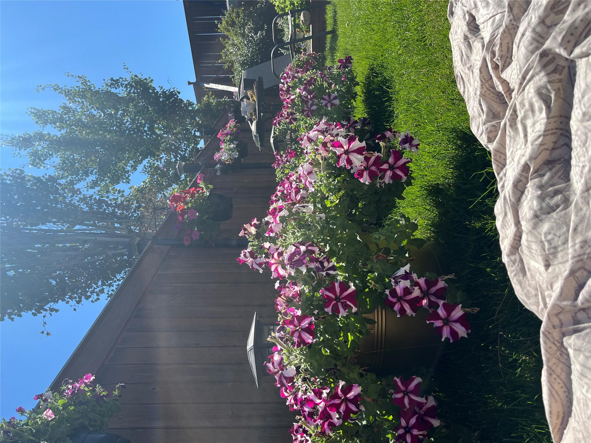 32 Pinewood Avenue, Cranbrook, BC