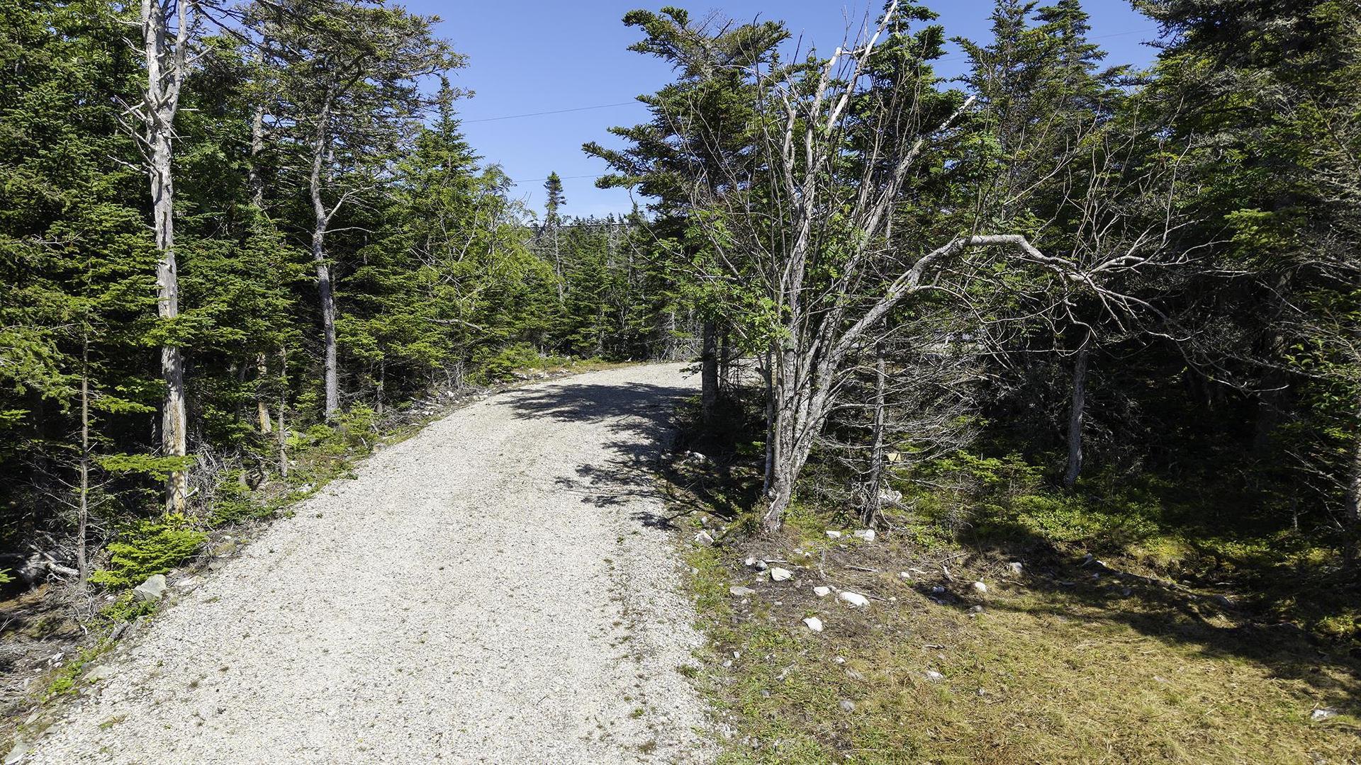 Lot 22 Thomas Road, Cape Forchu, NS