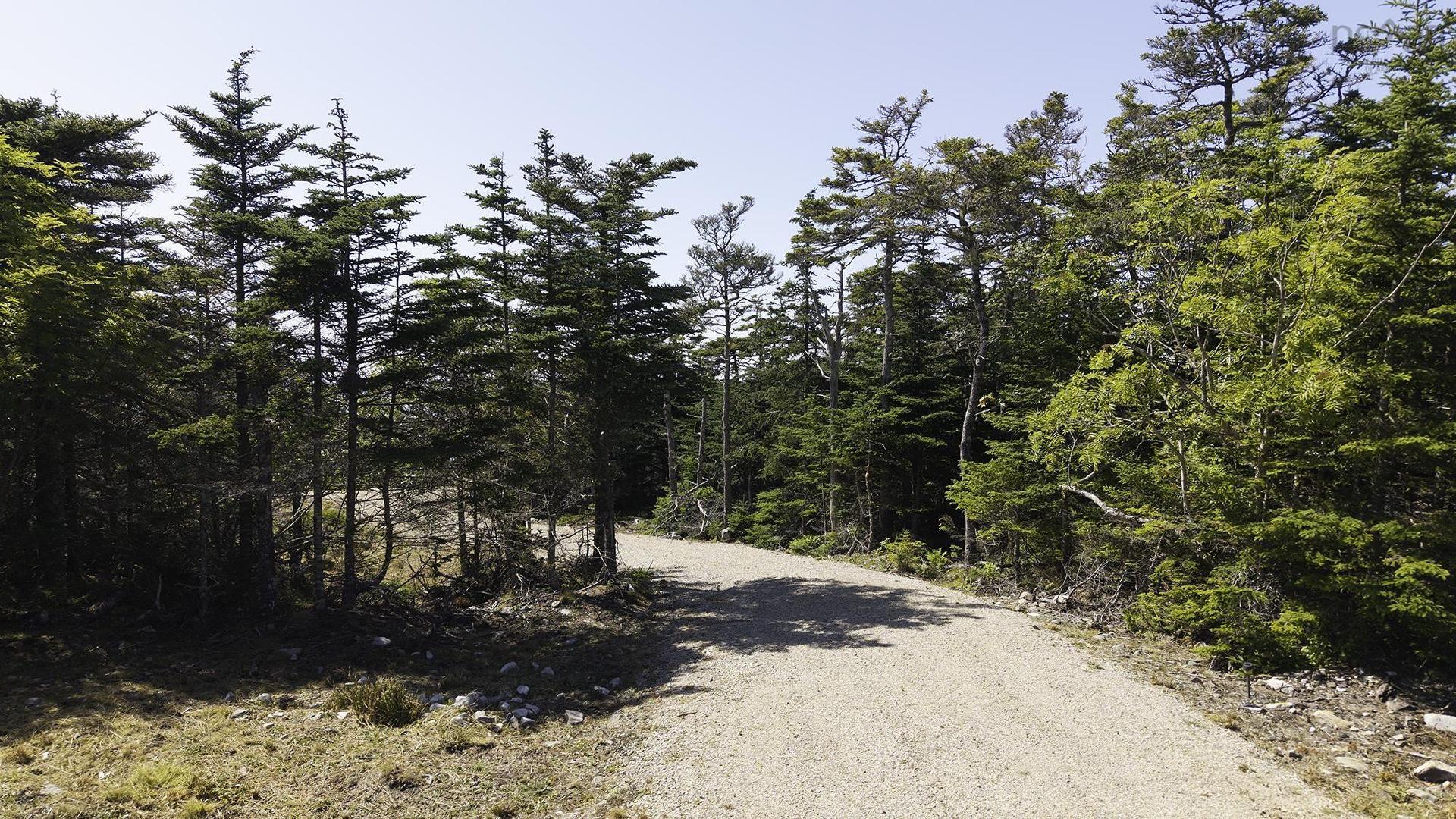 Lot 22 Thomas Road, Cape Forchu, NS