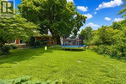 Expansive rear yard featuring a lush green lawn and mature shade trees - 
