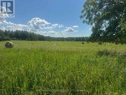 17236 KENNEDY ROAD Whitchurch-Stouffville, ON L4A 2L9