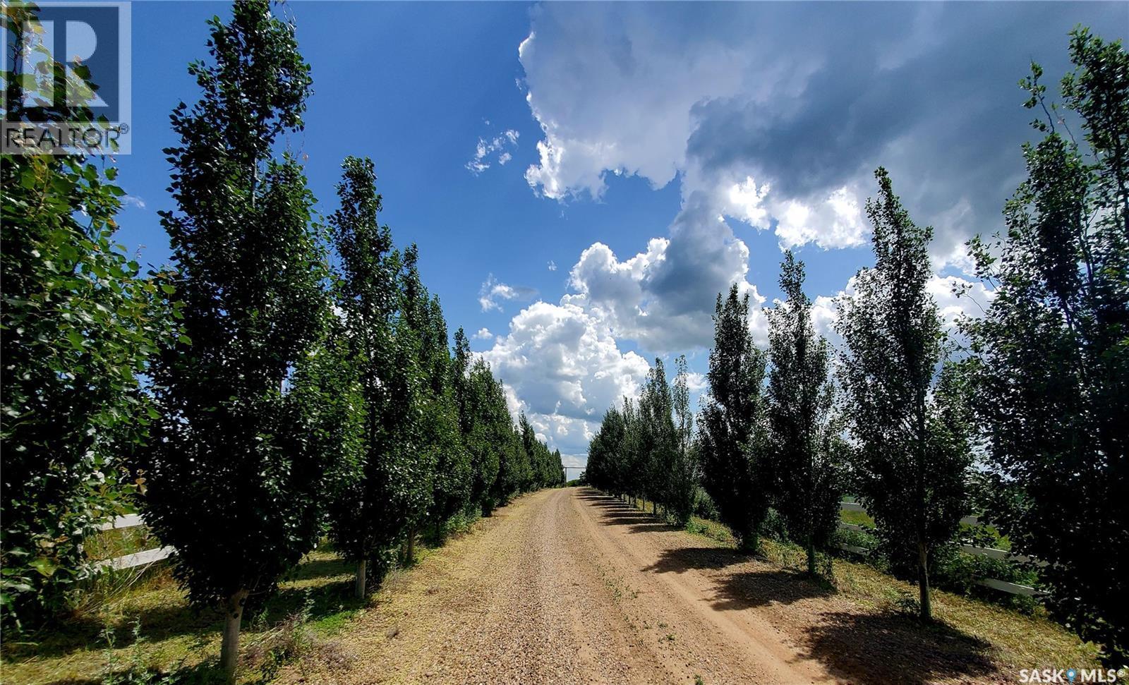 Neville Acreage, Neville, SK - Outdoor With View