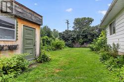 This shed can store all gardening tools - 