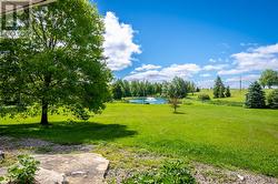Pond Views - 