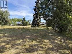 9 FRANCOIS DRIVE Fraser Lake, BC V0J 1S0