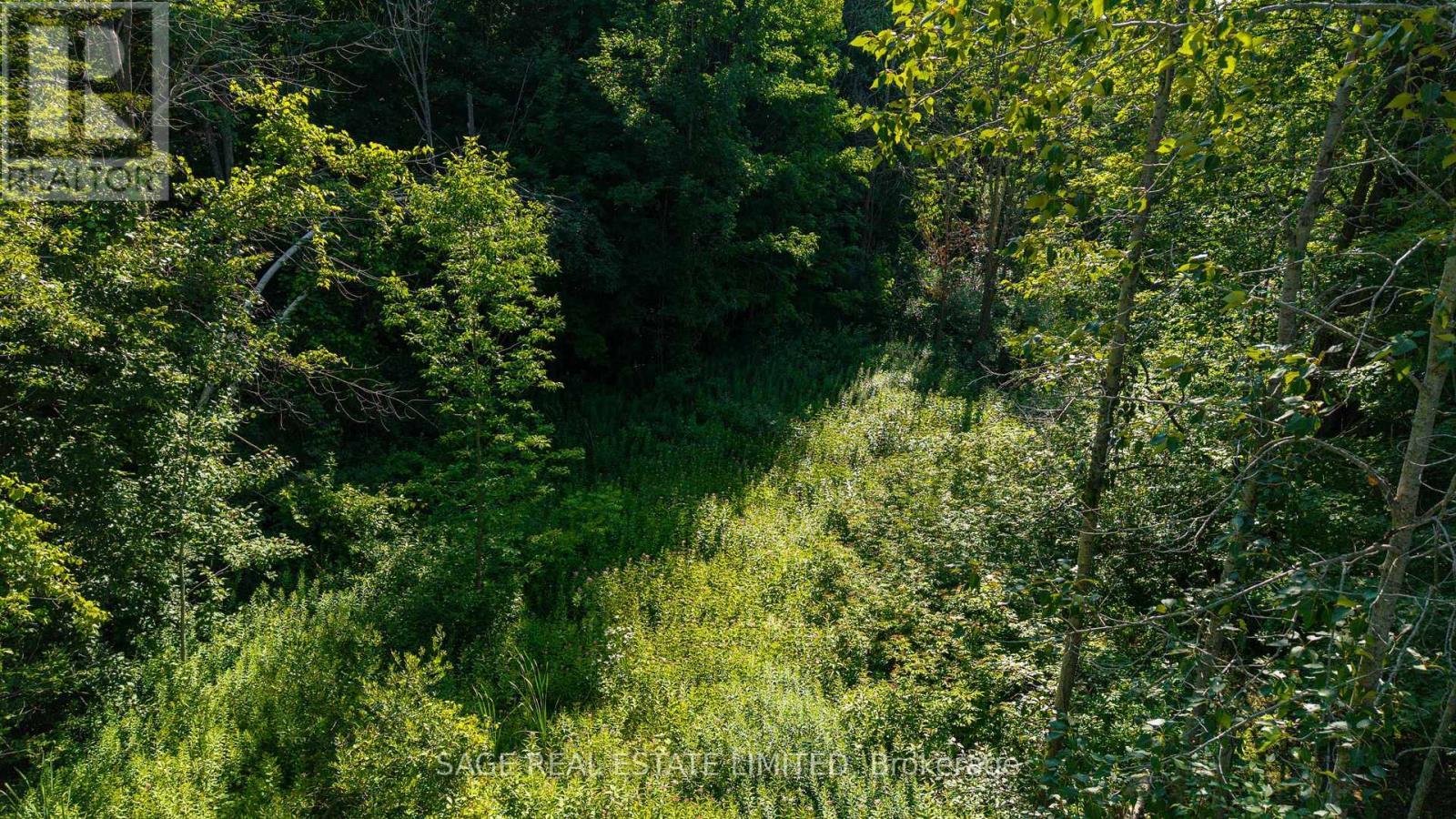 7632 County 9 Road, Clearview, ON - Outdoor