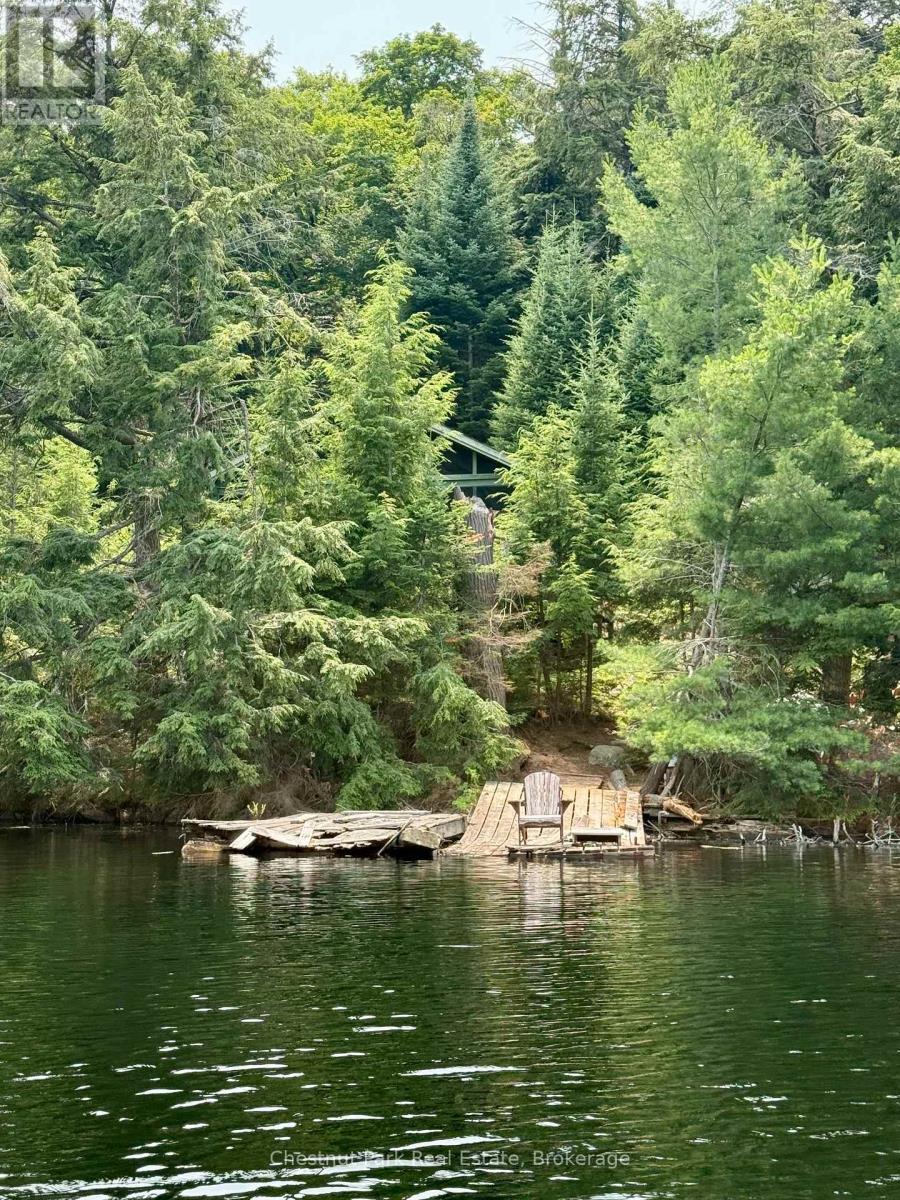 Cottage porch peeking out as you arrive - 50 Cache Lake Apl1322, South Algonquin, ON - Outdoor With Body Of Water