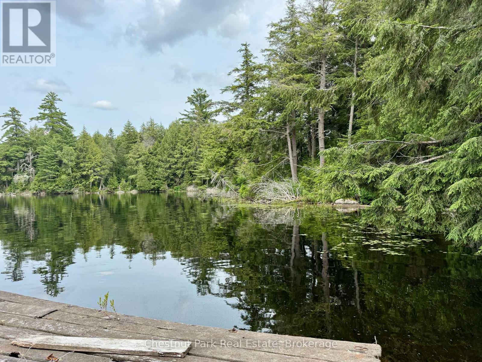 Looking east along the shore - 50 Cache Lake Apl1322, South Algonquin, ON - Outdoor With Body Of Water With View