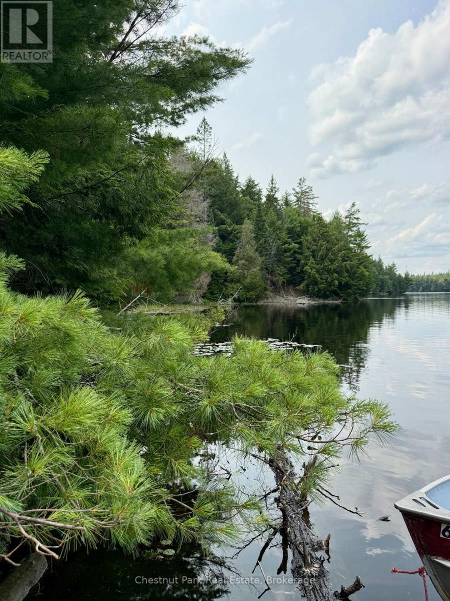 Looking west along the shore - 50 Cache Lake Apl1322, South Algonquin, ON - Outdoor With Body Of Water With View