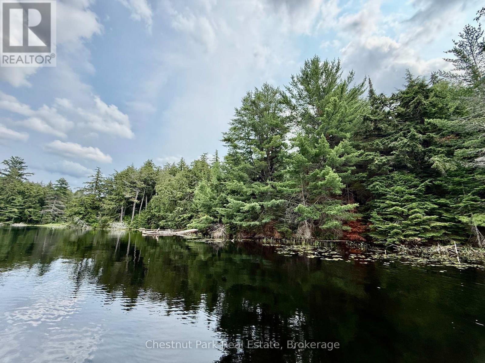 Frontage:no neighbours nearby, beautiful softwoods - 50 Cache Lake Apl1322, South Algonquin, ON - Outdoor With Body Of Water With View