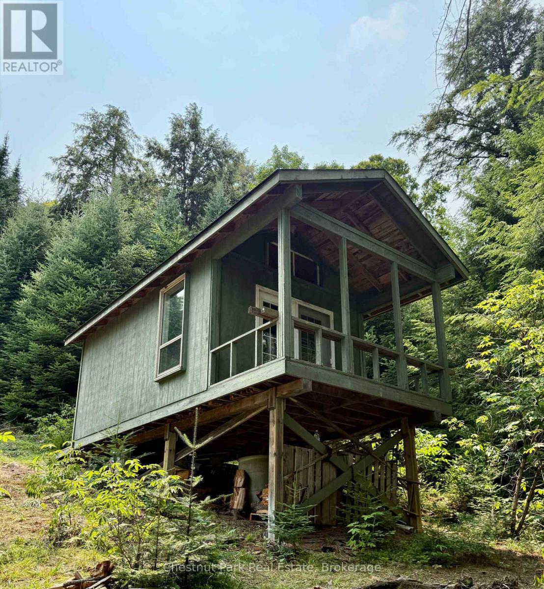 Bunkie from the lake side. Porch can be screened - 50 Cache Lake Apl1322, South Algonquin, ON - Outdoor