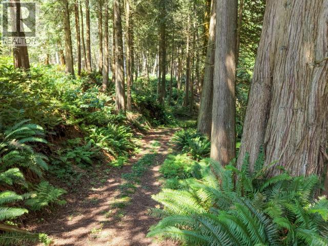 10440 Kelly Creek Road, Powell River, BC - Outdoor
