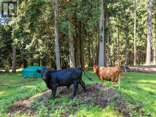 10440 Kelly Creek Road, Powell River, BC - Outdoor