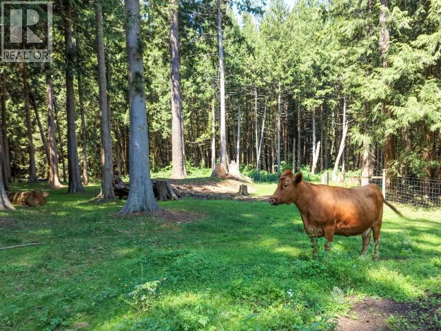 10440 Kelly Creek Road, Powell River, BC - Outdoor