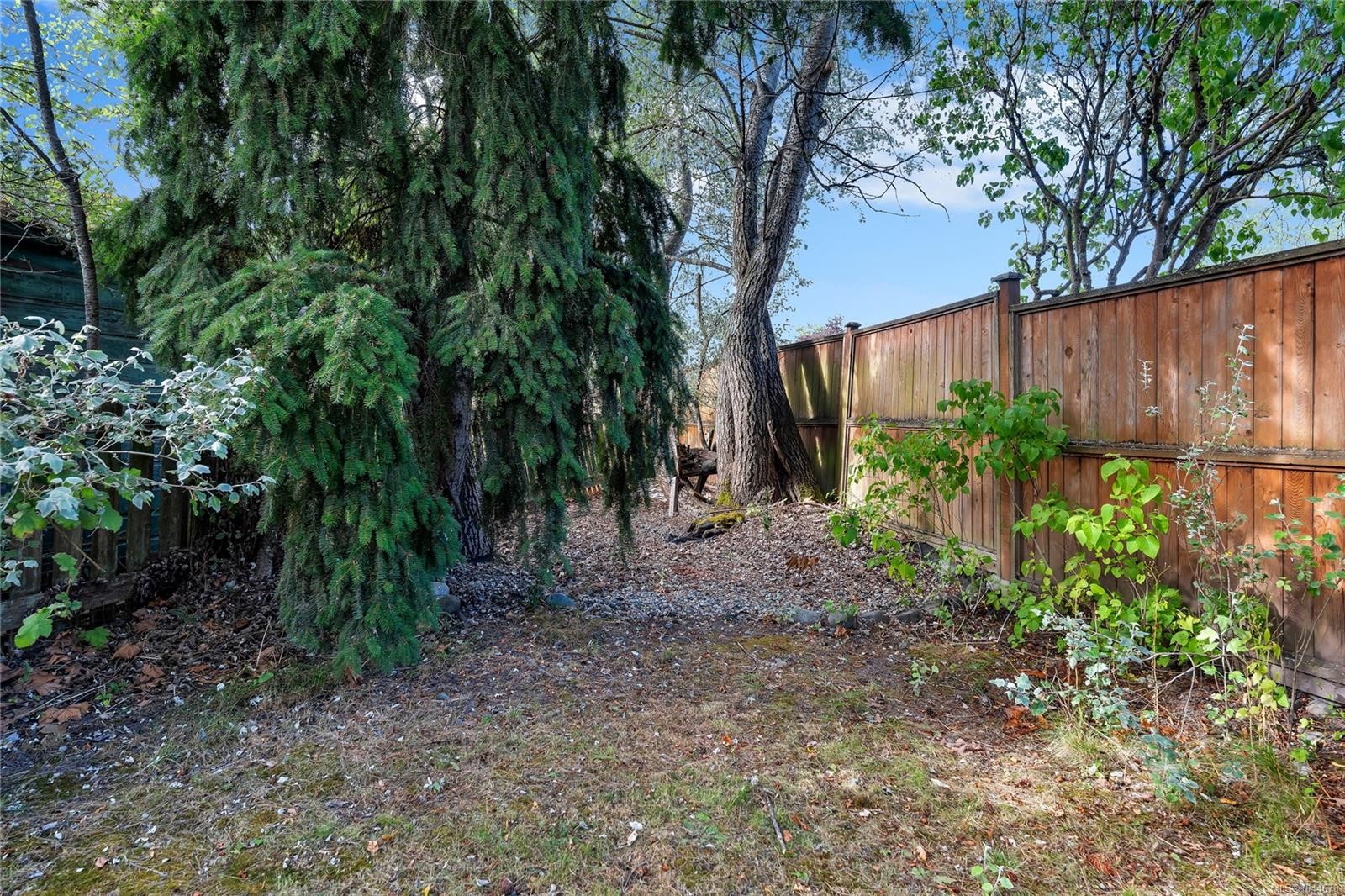 384 Burnside Rd East, Victoria, BC