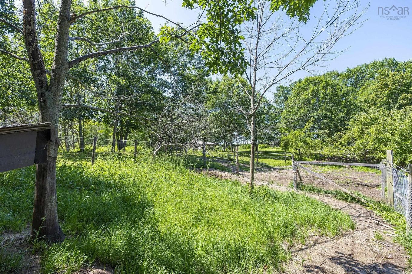 4902 Highway 1, Waterville, NS - Outdoor With View