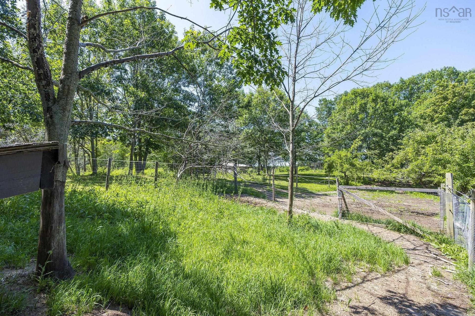 4902 Highway 1, Waterville, NS - Outdoor With View
