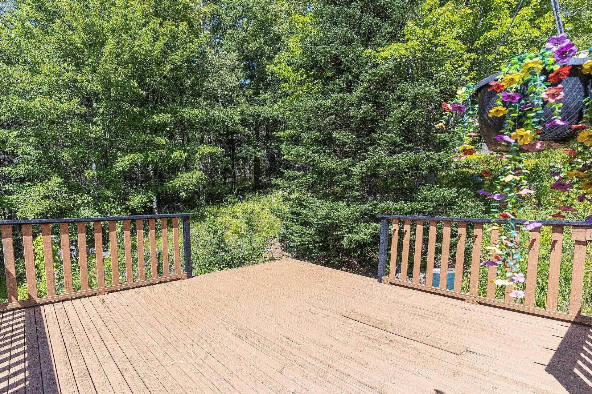 258 Trout Lake Road, West Inglisville, NS - Outdoor