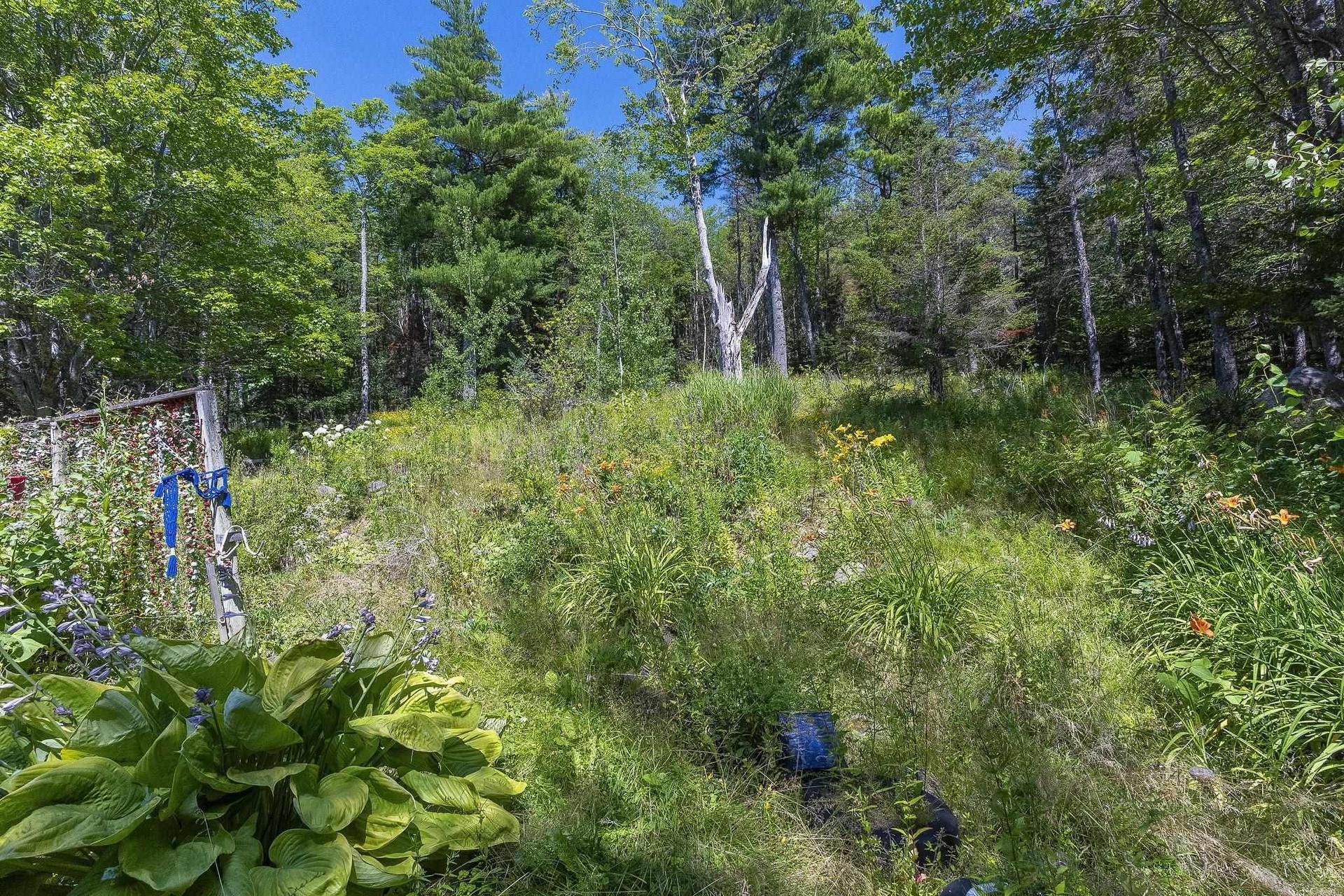 258 Trout Lake Road, West Inglisville, NS - Outdoor With View